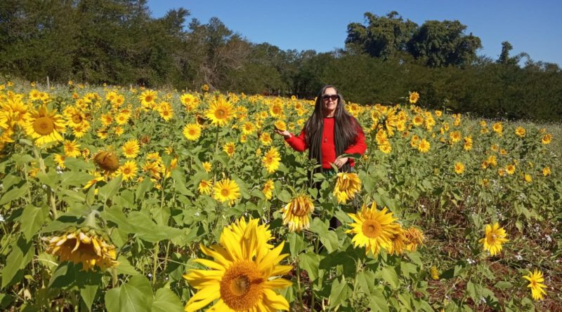 Eliana em plantação de girassóis